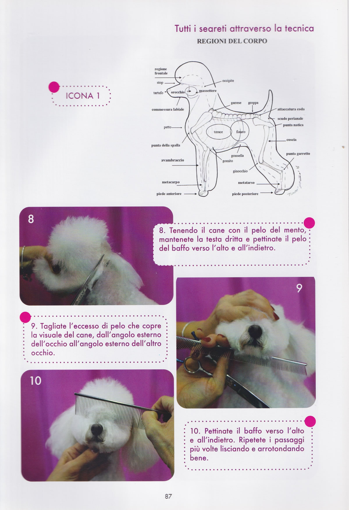 corso-base-professionale-3