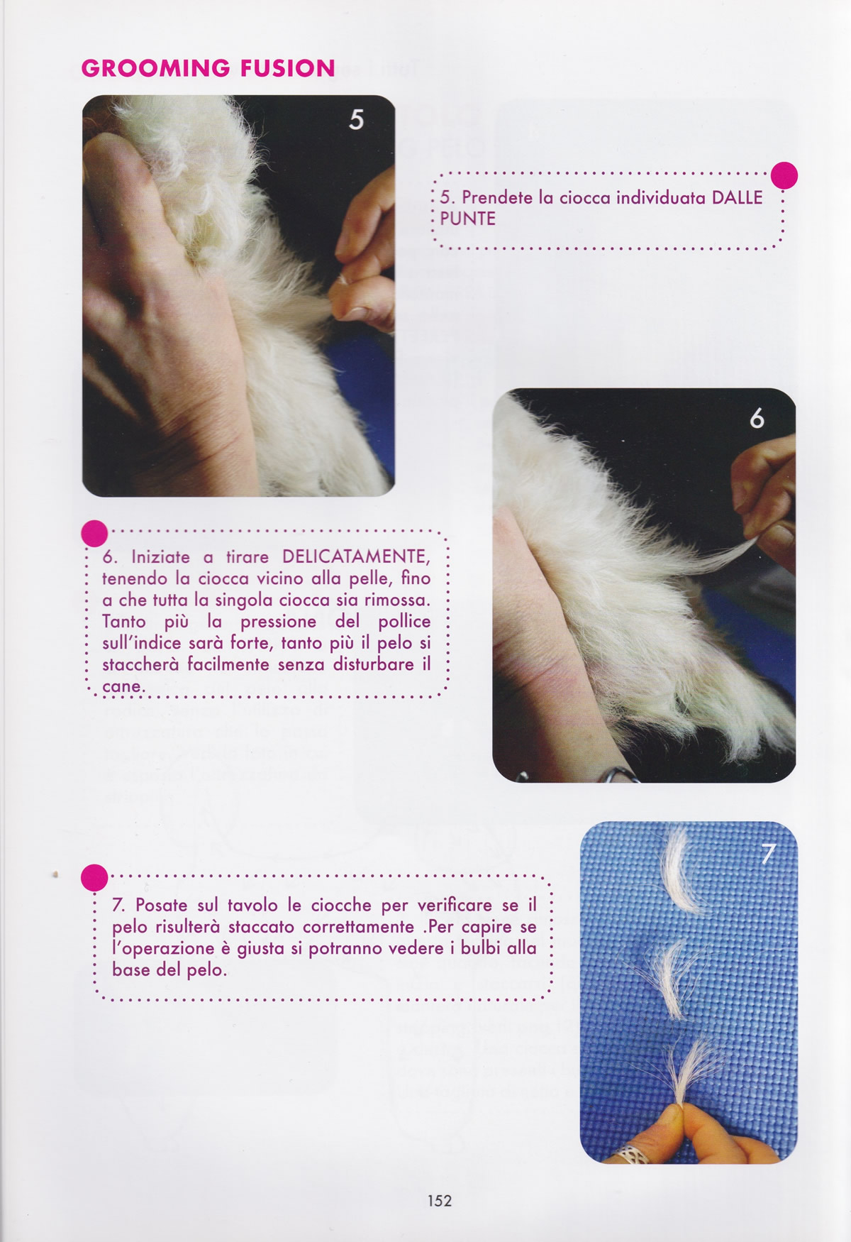corso-base-professionale-4